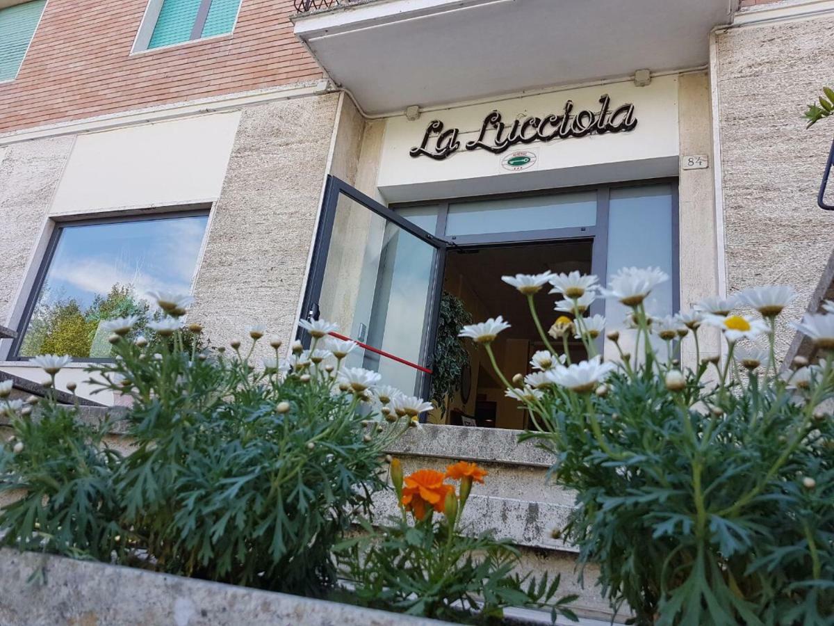 Hotel La Lucciola 基安奇安诺泰尔梅 外观 照片