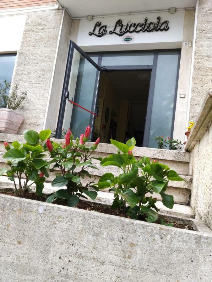 Hotel La Lucciola 基安奇安诺泰尔梅 外观 照片